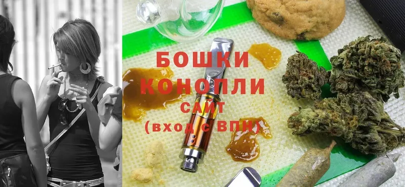 Бошки марихуана SATIVA & INDICA  цены наркотик  ссылка на мегу ССЫЛКА  Канаш 